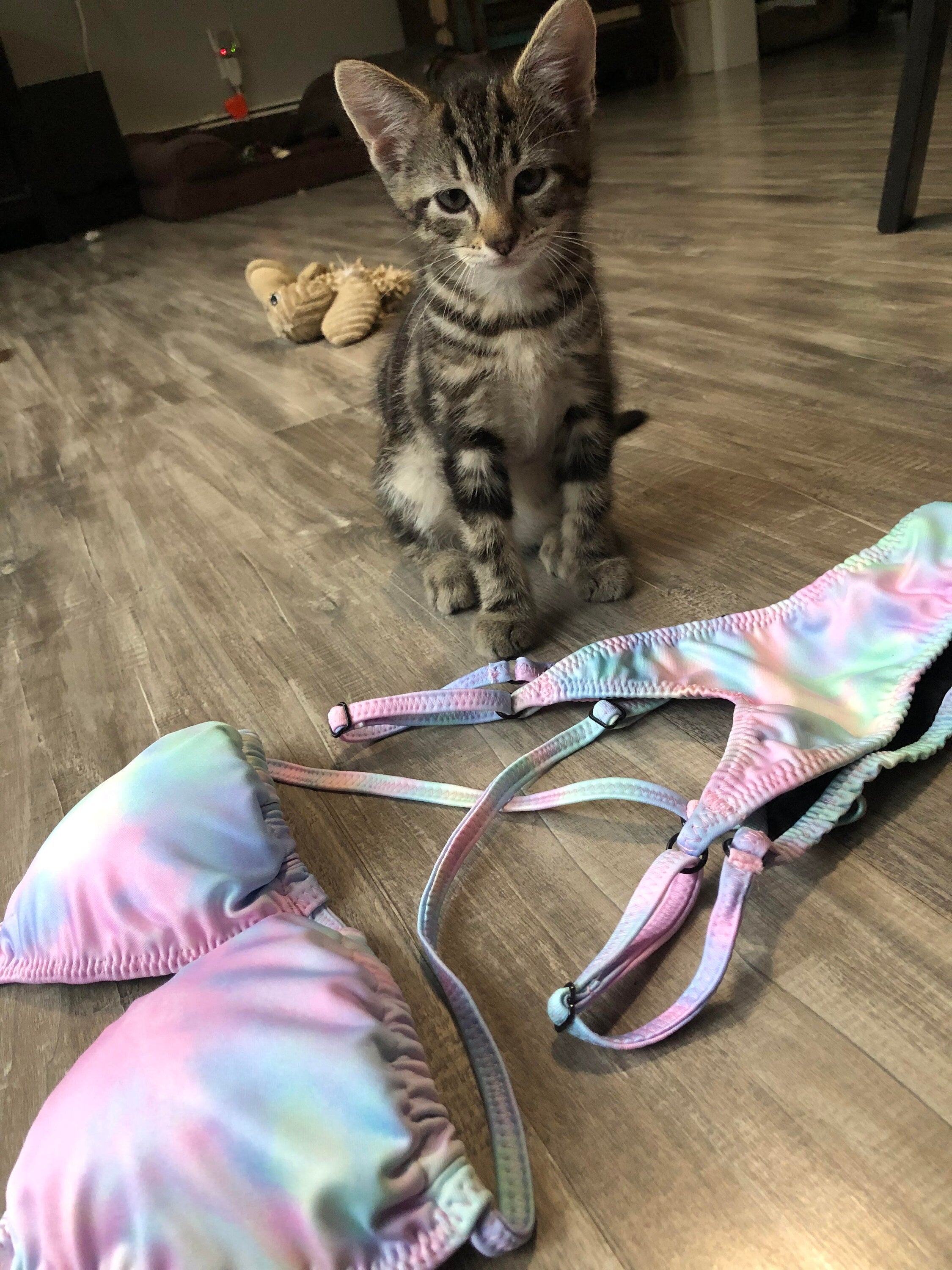 Practice Posing Suit - Cotton Candy Tie Dye